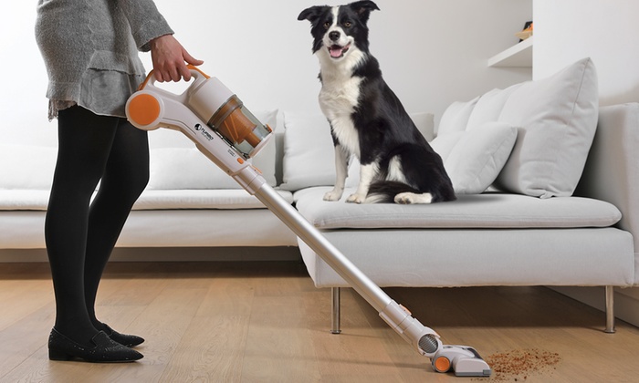 aspirateur animaux meilleur